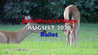 AUGUST at John Wesley Village in RIVERHEAD Shostakovich Symphony 9