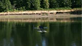 Schneider Cup Racer Float Plane RC Airplane (Realflight RC Simulator).