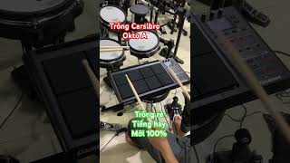 Trống Carslbro okto A mới #nhạc_cu_son_thăng #drums