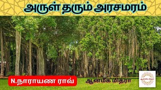 அருள் தரும் அரசமரம் || Banyan Tree || N.Narayan Rao