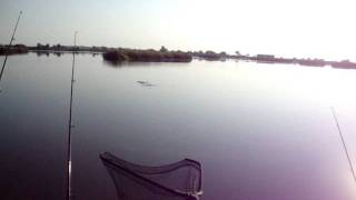 Joca Lake,Jovica i štuka .