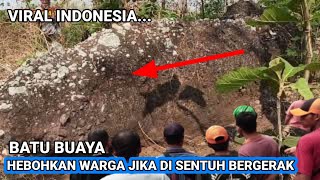 Viral Hari ini❗Misteri batu buaya bertapa. jika di sentuh bisa bergerak seperti hidup.