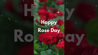 🌹Happy Rose Day 2024 | Rose Day Shayari Status | Happy Rose Day status | Rose Day Status | #roseday