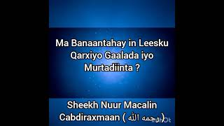 Ma Banaantahay isku Qarxinta Gaalada iyo Murtadiinta ? Sh Nuur Macalin C/raxmaan (AU)