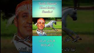 Hmad Amntag - Busalm 2 #amarg_amazigh #tachlhit_music  #tifinagh_alphabet_song #taskla_tamazight