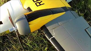 Avios Albatross - failed grass takeoff