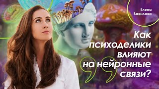 Как психоделики влияют на нейронные связи. Елена Вавилова.