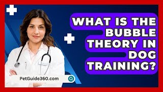 What Is The Bubble Theory In Dog Training? - PetGuide360.com