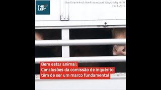 #BemEstarAnimal: Conclusões da #ANIT têm de ser um marco fundamental - Marisa Matias | 2021.06.16