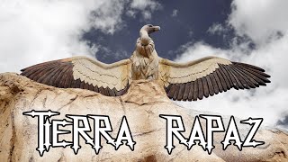 Exhibición de rapaces en Tierra Rapaz Calahorra La Rioja