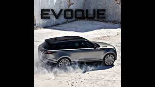 Evoque - Marreca