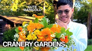 How to make a Cute Marigold Flower Arrangement, Edible Cut Flowers