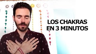 🌀 Qué son los CHAKRAS 🌀 breve descripción | 7 CHAKRAS principales | JAUME ROCA