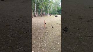 लेग विकेट बोल्ड 🏏 #cricketmatch #cricketlover #viral #shorts #bowling