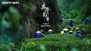 Wuyi Rock Tea 武夷岩茶 武夷巖茶