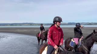 girl ridding horse on beach | beach side riding | beach | horse riding | horse video | girl riding