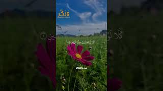 سورة التكاثر بصوت القارئ ماهر المعيقلي #حالات_واتس  #quran #shorts