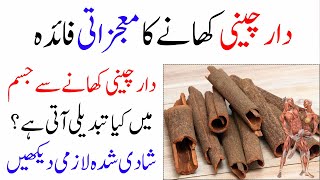 Cinnamon Health Benefits || Daar Cheeni (Dalchini) Ke Fayde || Islam Advisor