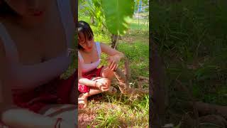 Pretty Chef Find Cassava for Cooking #6 #shorts