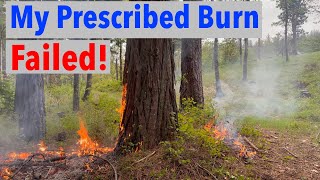 Using Prescribed Fire to Manage My Forest Land & Failing