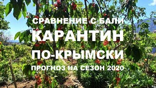 Карантин по-Крымски, сравнение с Бали. В Крыму закрывают леса. Прогноз открытия сезона 2020.