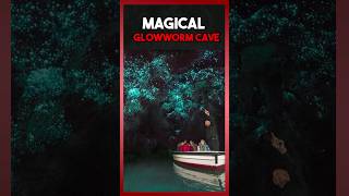 Exploring the Magical Glow worm Caves 😍😱  |  Waitomo