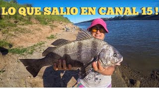 PESCA  DE CORVINA NEGRA  PESCA DE CARPAS  EN CANAL 15 CASTELLI