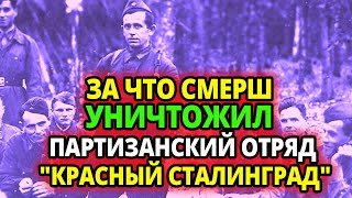 ЗА ЧТО СМЕРШ УНИЧТОЖИЛ ПАРТИЗАНСКИЙ ОТРЯД "КРАСНЫЙ СТАЛИНГРАД"