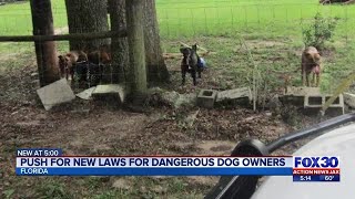 Push for new laws for dangerous dog owners | Action News Jax