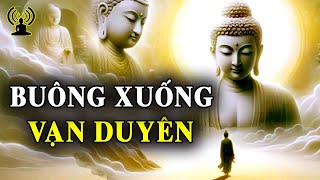 Vạn duyên buông xuống, thấy lối về Tây Phương - Lời Phật dạy