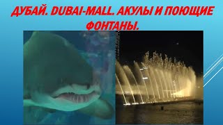 Дубай. Dubai-Mall, акулы и поющие фонтаны.