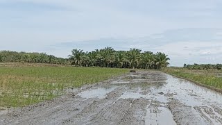 bajah lahan untuk persiapan tahan