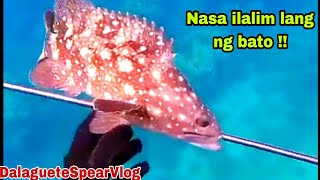 SPEARFISHING ADVENTURE SA UMAGA | NASA ILALIM LANG NG BATO ANG PUGAPO AT MAY PUGITA PA | DAYDIVE