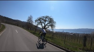 Bodensee cycling March 2020