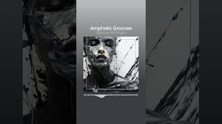 Ampheta Grooves - Groove All Night #shorts #shortsvideo #funkyhouse #discomusic #indiedance