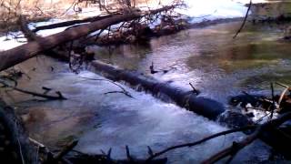 Tenaya Creek, Yosemite