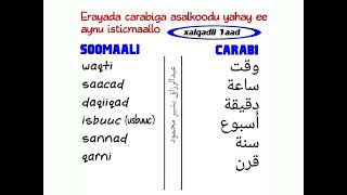 كلمات عربية الأصل مستخدمة في الصومالية-الحلقة(1)