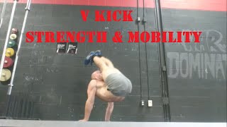 V KICKS: Strength & Mobility Requirements