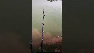 #fishing r