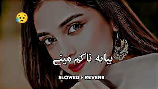 Beya Ba Nakram Meena (Slowed+Reverb) Pashto Song | Sad Song | Lofi Song | New Song 2023