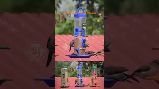 Automatic bird feeder #automaticBirdFeeder