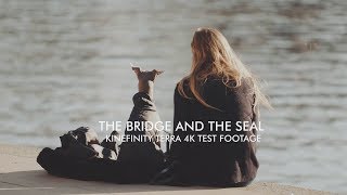 The Bridge & The Seal: Kinefinity Terra 4K test footage