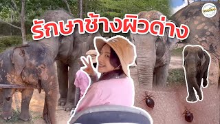 ภารกิจ 1 วันเบาๆของหมอโบว์ | หมอโบว์ หมอตัวเล็กกับคนไข้ตัวใหญ่