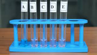 SHIFT IN EQUILIBRIUM COBALT HEXAHYDRATED ION AND CHLORIDE ION