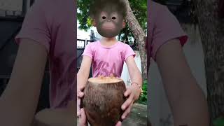 dhiri dhiri nach nani ❤🧃🍌🍭🍼😂🤣😅#monkeybaby #funny #bandar #cute #monkey #dance #aaryavnaagar #comedy