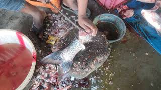 amazing fish cutting & skills video #fishcutting