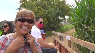 Lane Farms Pumpkin Patch Hay Ride Outside/Inside 20211003 157 141 P merged