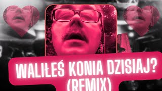 Waliłeś Konia Dzisiaj? (REMIX) Artur Uległy Yebaka | Nadmorski Chłopak Z Łeby