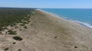 Dal cielo alle dune di Castelporziano