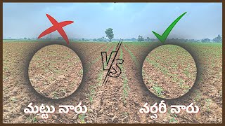 మిరప నాట్లకి ఏ నారు అనుకూలంగా ఉంటుంది? TFS Sagubadi #suryabhaskar